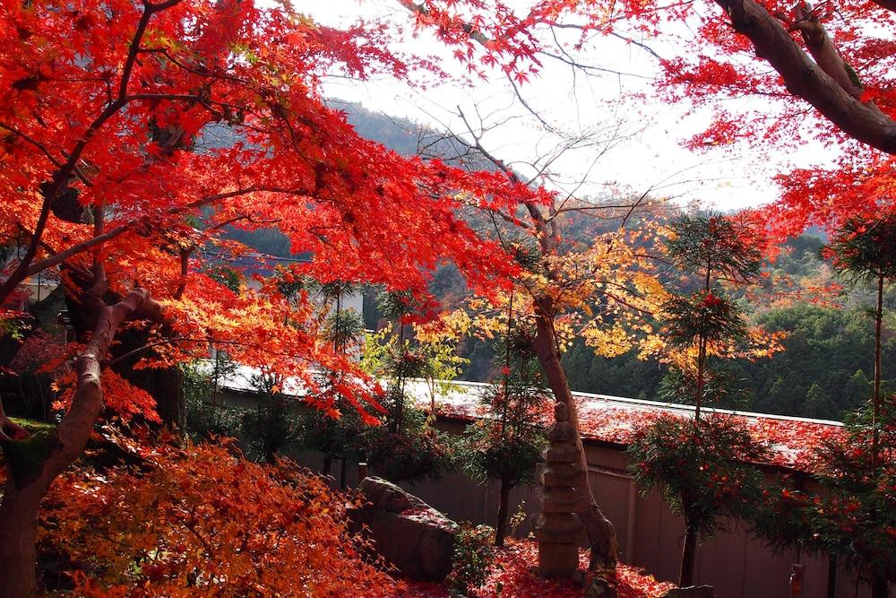 Ryokan Nenrinbo Hotel Kyoto Luaran gambar