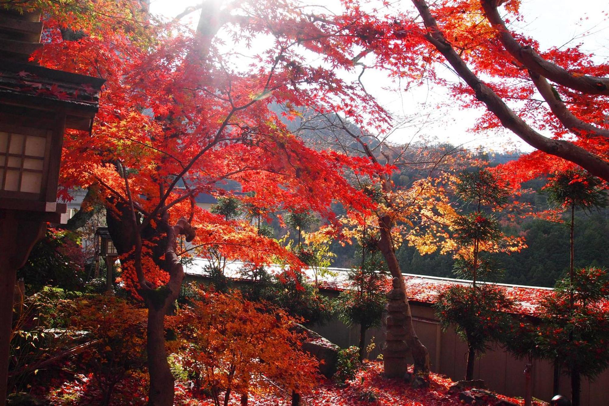 Ryokan Nenrinbo Hotel Kyoto Luaran gambar