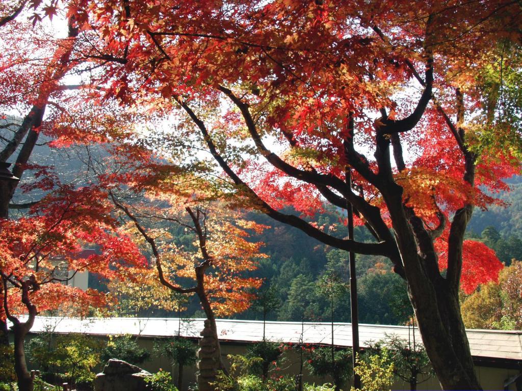 Ryokan Nenrinbo Hotel Kyoto Luaran gambar